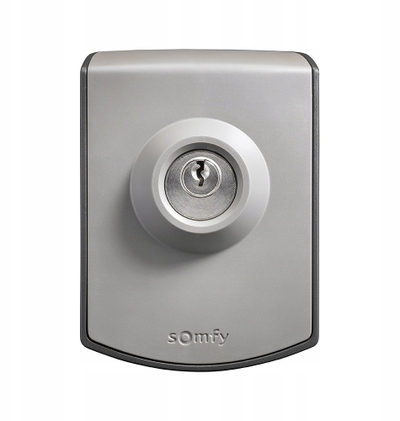 Клуч со брава за порта Somfy 2400597, IP54, сива