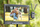 Monitor profesional Feelworld FVM215 1000, 21.5", Full HD, i zi