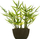 Bimë artificiale Atmosphera Bamboo, 35 cm, me vazo qeramike, jeshile