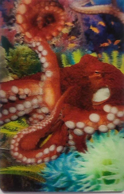 Kartolinë 3D Worth Keeping Mini Octopus, për zbukurim, me oktapod, plot me ngjyra