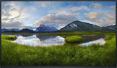 Monitor Dell P2425HE, 23.8", Full HD, i zi (pa bazë)