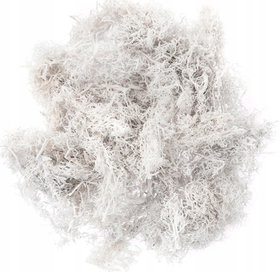 Myshk dekorativ Stamperia Reindeer Moss White, natyral, 30 g, i bardhë