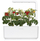 Farë e domateve të vogla për kopshtin SMART Click and Grow