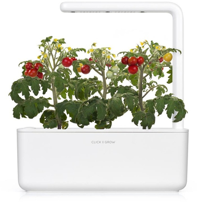 Farë e domateve të vogla për kopshtin SMART Click and Grow