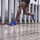 Atlete vrapimi për burra Mizuno Rebellion, nr. 46, blu