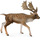 Фигурa играчка Collecta Deer, машко еленче, пластика, кафеава