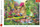 Puzzle Trefl Forest Haven, 1000 copa, peizazh pylli, shumëngjyrësh