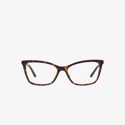 Dolce & Gabbana DG3317 502 54