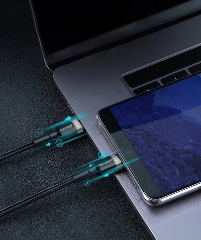 Kabllo karikimi Feegar Evolution USB C në USB C, 100W PD, 1m, e zezë