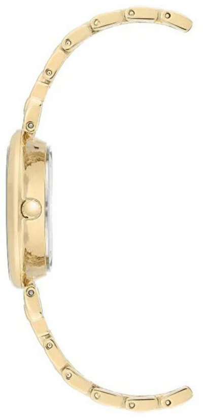 Orë dore Anne Klein Solar AK/3630MPGB