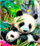 Set mozaik diamanti Norimpex 5D Panda, 40x30cm, shumëngjyrësh