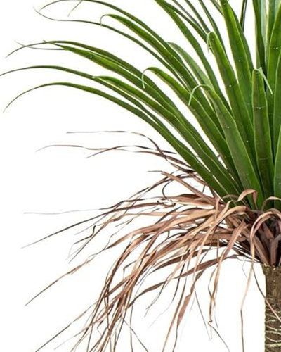Bimë artificiale Palm Tree, 120 cm