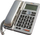 Фиксен телефон Dartel LJ-240, сребрен