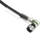 Kabllo sensori Phoenix Contact 1671085, M8 3-pole, 5m, i zi