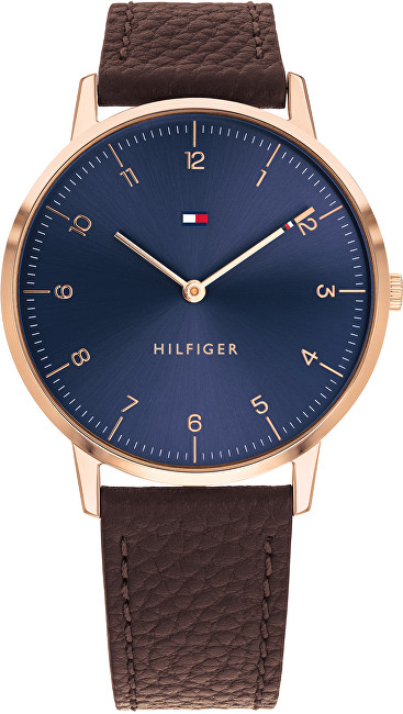 Orë dore Tommy Hilfiger Cooper 1791582 - RIP