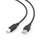 USB кабел Gembird CCP USB2 AMBM 15, USB A во USB B, 4.5 m, црн
