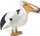 Lodër figurë PAPO Marine Life Pelican, PVC i qëndrueshëm, e lyer me dorë, shumëngjyrëshe