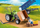 Lodër Playmobil traktor me rimorkjo 71249, set fermë, plastike, shumëngjyrëshe