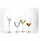 Gotë shampanje Zwiesel Glas Enoteca, 305 ml, xham i tejdukshëm