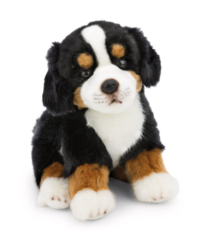Nici Loder E Bute 20Cm Qenushi Bernese 62603
