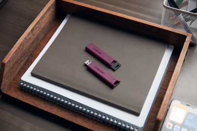 USB Kingston DataTraveler Max - 1TB, i kuq