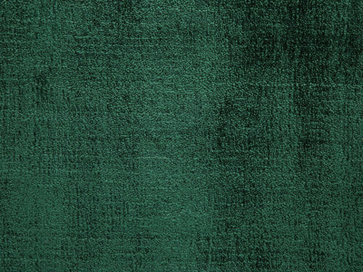 Tapet GESI II Viscose, 80 x 150 cm, i gjelbër i errët