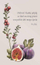 Magnet frigo Szaron Goodness and Grace, 5.5x8cm, për zbukurim, shumëngjyrësh