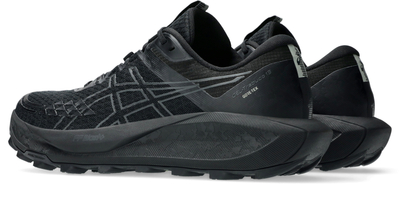 Патики за трејл Asics Gel Trabuco 13 GTX, мажи, црни