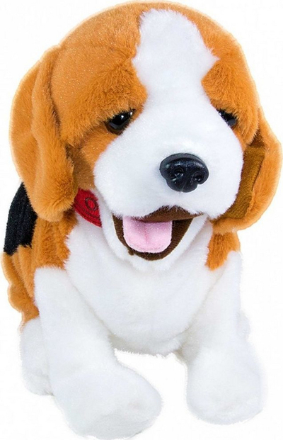 Qen lodër interaktiv Madej Figo Beagle, dëgjon komandat me zë, reagon me lëvizje e me tinguj, shumëngjyrësh