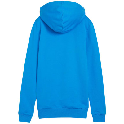 Блуза со капче Puma Team Goal Casuals Hoody W 658621 02, памук полиестер, за жени, сива