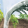 Serë tunel GREENHOUSE, folje PVC, 240x57x30cm, e bardhë