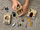 Set LEGO: Harry Potter Hogwarts - First Flying Lesson (76395)
