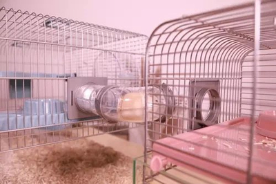 Kafaz për hamster Zolux Panas Colour 50, me aksesorë, rozë