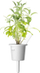 Kapsula me bimë Click &amp; Grow Garden Sage, set me 3 copë, për kopsht smart, e bardhë