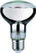 Poç elektrik Paulmann Plant R80, LED, E27, 6.5W, 230V, transparent