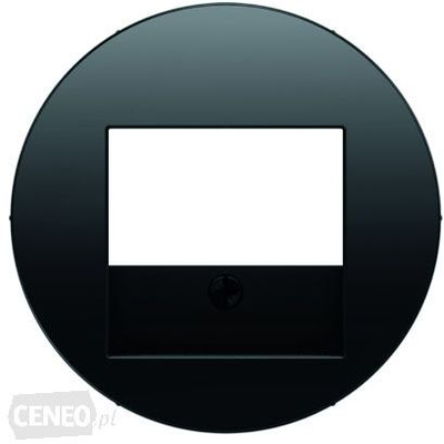 Element qendror Berker R.1/R.3 10382045, për prizë TAE dhe altoparlanti, i zi
