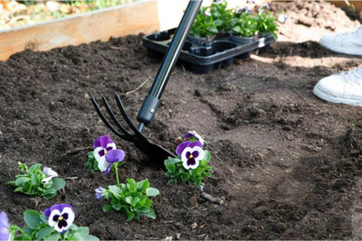Mjet kopshti Black+Decker Garden Culti Hoe Fiberglass, me dorëzë t’madhe, me grep edhe motikë, portokalli