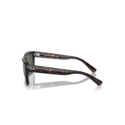 Ray-Ban RB4396 135971 54