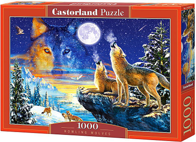 Puzzle Castorland, 1000 copa