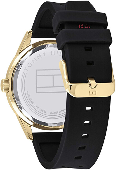 Orë dore Tommy Hilfiger Austin 1791636