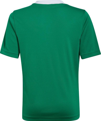 Fanellë futbolli adidas Entrada 22 Jersey Jr HI2126, poliester i ricikluar, teknologji Aeroready, e bardhë
