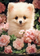 Puzzle Castorland Six Pomeranians in a Row, 60 copa, për kalamaj