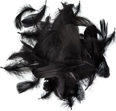 Pupla dekorative Dalprint Feathers, 5-12 cm, 10g, të zeza
