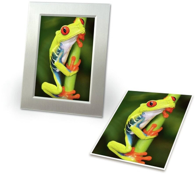 Letër fotografike AVERY C2549-20P, high gloss, 200 g/m², 10x15 cm, e bardhë