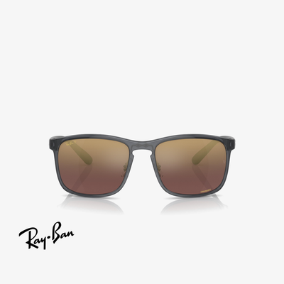 Ray-Ban RB4264 876/6B 58