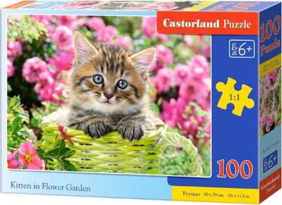 Puzzle Castorland Kitten in the Garden (290197), 1000 pjesë