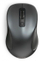 Maus Hama Canosa V2, i zi