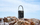Stacion energjie portabël EcoFlow TRAIL 300 DC PPS, 288Wh, gri