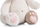 Lodër pelushi NICI Cute Cat 49408, kotele ulur, 25cm, krem rozë