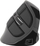 Maus Natec Euphonie, wireless, USB, i zi